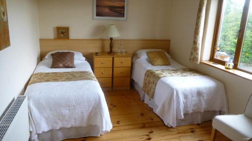 1 dormitorio con 2 camas y ventana en Corcoran's Lodge, en Ferns