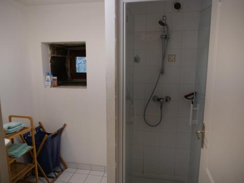 baño con ducha y puerta de cristal en Gîte de l'Hirondelle bleue, en Brech