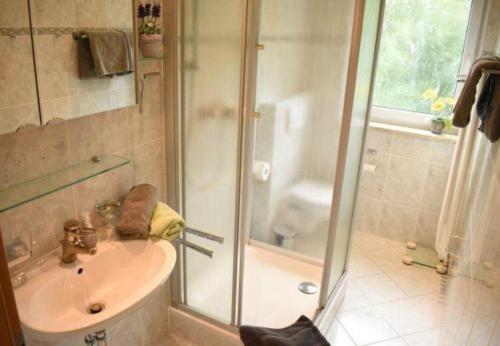 a bathroom with a shower and a sink at Ferienwohnung in Frauenberg mit Garten in Haidmühle