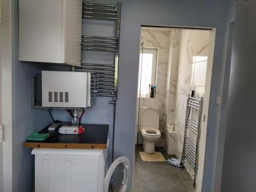a small bathroom with a toilet and a sink at Double Ensuite room, 1-minute walk to bus stop in Edinburgh