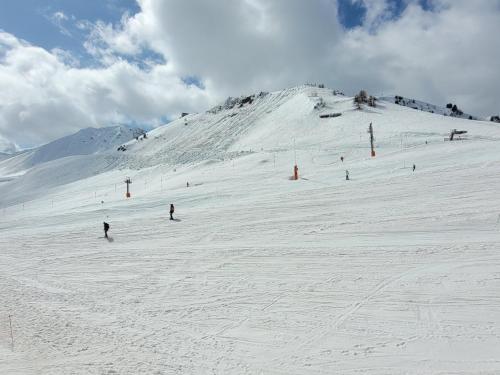 un groupe de personnes skier sur une montagne enneigée dans l'établissement Studio confort 3/4 pers, accès pistes, animaux admis - FR-1-181-2563, à Aime La Plagne