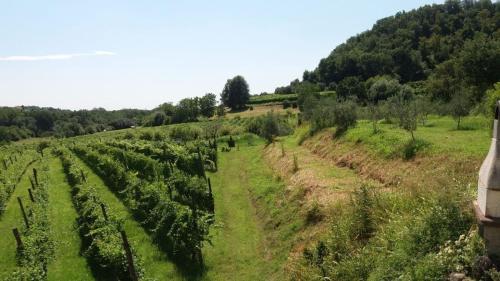 uma vista superior de um campo de árvores em Ferienwohnung für 4 Personen ca 70 qm in Gavardo, Gardasee Westufer Gardasee em Gavardo