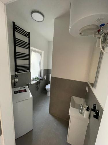 ein kleines Bad mit WC und Waschbecken in der Unterkunft High Moon Apartment House in Nienburg with Wifi in Grimschleben