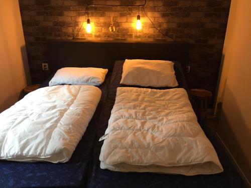 twee bedden naast elkaar in een slaapkamer bij Chalet de Bosduif in Putten