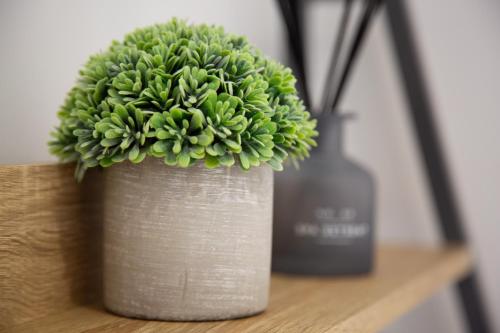 a green plant in a pot on a shelf at 3 Bedroom lodge with hot tub in York