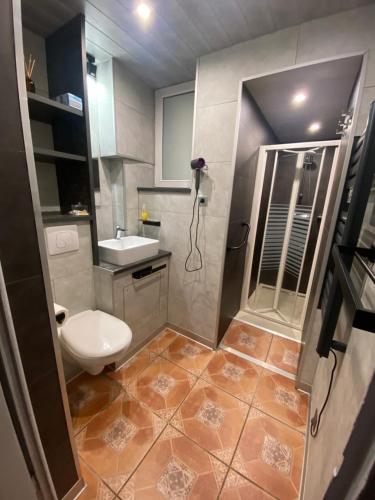 małą łazienkę z toaletą i umywalką w obiekcie Le CLARA 2 w mieście Saulxures