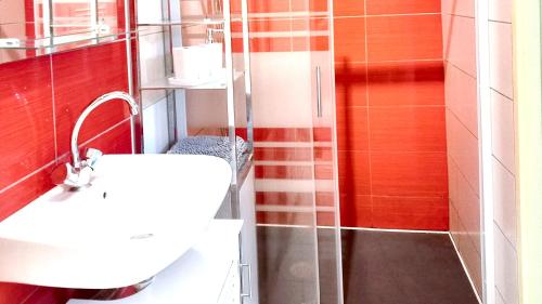 ห้องน้ำของ Appartement de 2 chambres avec jardin et wifi a Saint Die des Vosges