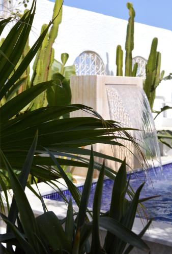 a plant in front of a table with a chair at VILLA EDO in Gammarth