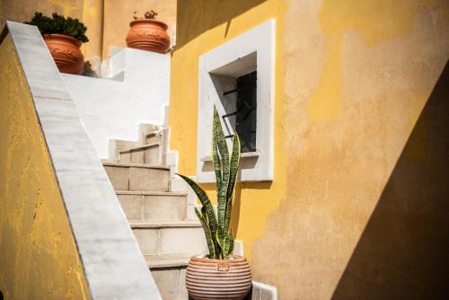 Fotografie z fotogalerie ubytování Mina's Art Loft with panoramic views v destinaci Fiolítis