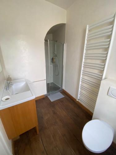 a bathroom with a sink and a shower and a toilet at Chez Victor H in Amiens