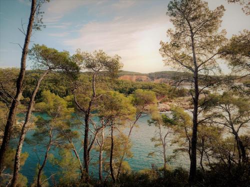 Paesaggio naturale nelle vicinanze del bed & breakfast