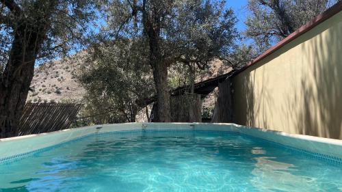a swimming pool in a yard with trees at Atlasunsea - Riad de l’Atlas in Imoulass