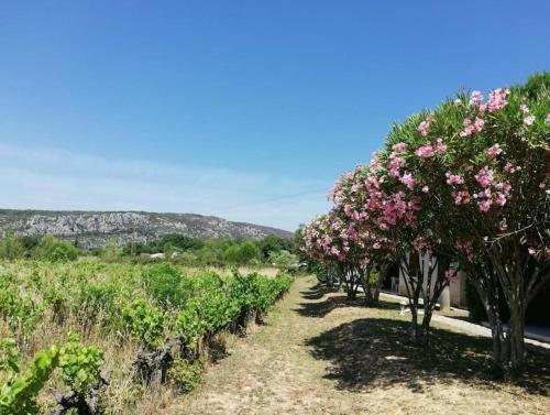 Maison à louer en Ardèche du sud