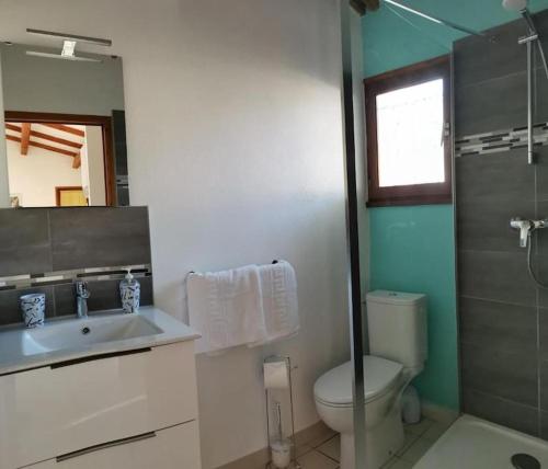 une salle de bain avec toilettes, lavabo et douche dans l'établissement Maison à louer en Ardèche du sud, à Saint-Martin-dʼArdèche
