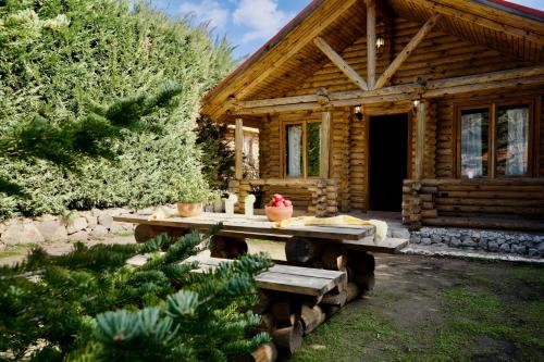 a wooden cabin with a picnic table in front of it at Wood Hills Hotel & Resort in Mayrūbā
