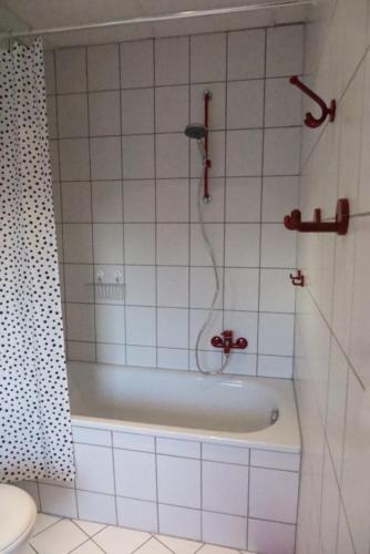 a bathroom with a bath tub with a shower at Ruhige FeWo im Nussbaumhof - Komfort & historisches Ambiente in Plath