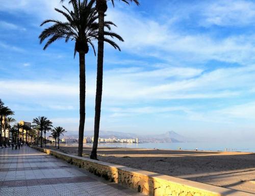 Deux palmiers sur une plage avec l'océan dans l'établissement Apartamento playa Muchavista de 3 hab y piscina, à El Campello