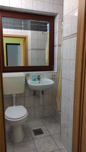 a bathroom with a toilet and a sink and a mirror at Mirna noć in Zagreb