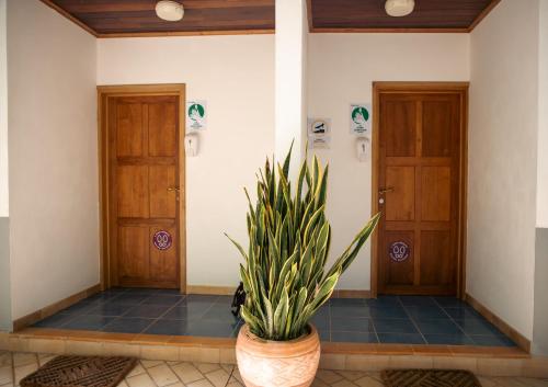 Cavern Apartments photo 2