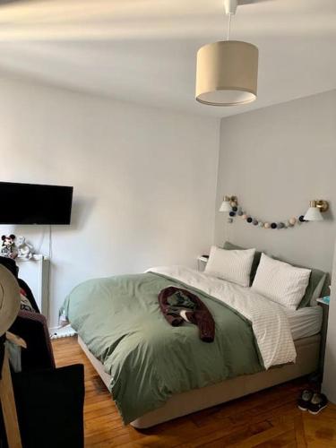 een slaapkamer met een bed met een groene deken erop bij Charme et confort à 10 minutes du centre de Paris in Courbevoie