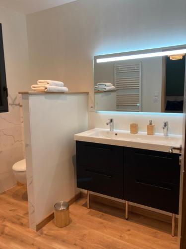 een badkamer met een wastafel en een spiegel bij Le 51 bis in Châteauroux