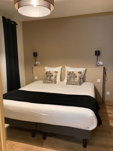 een slaapkamer met een groot bed met 2 kussens bij Le 51 bis in Châteauroux