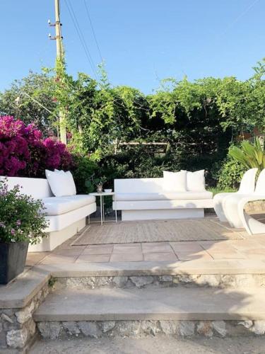 a group of white benches sitting in a garden at Anacapri Sunset La Piccola Oasi in Anacapri