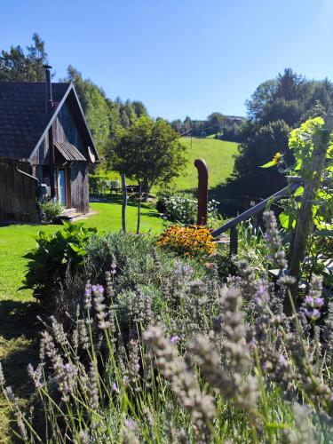 a garden with flowers in front of a house at Exklusives Naturjuwel - Kühbartl Simmerl in Oberhaag