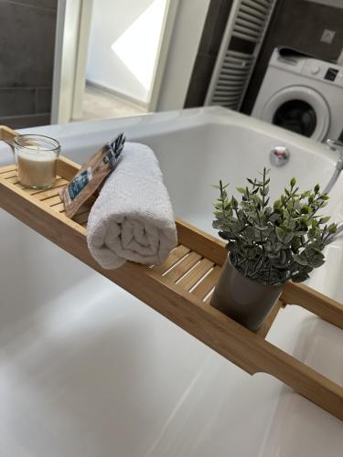 a bath tub with a towel and a plant on a shelf at Deluxe Apartment in Duisburg