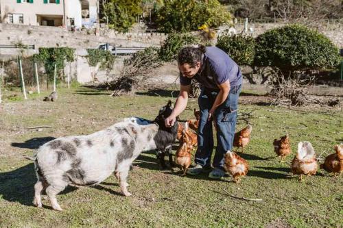Altri animali domestici presso l'agriturismo o nei dintorni