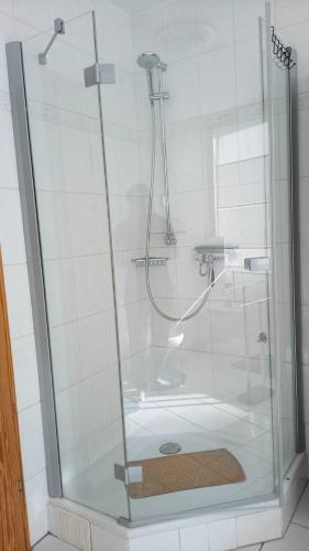 y baño con ducha y puerta de cristal. en Kalksee Haus 77A, en Woltersdorf