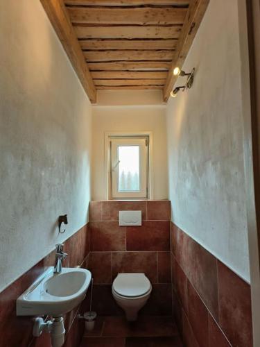 a bathroom with a toilet and a sink at Bungalow - Rust en Ruimte in Ballum