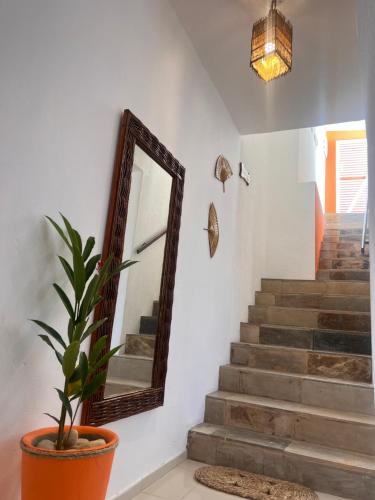 a mirror and a potted plant in a room at Mara Jeri Pousada in Jericoacoara