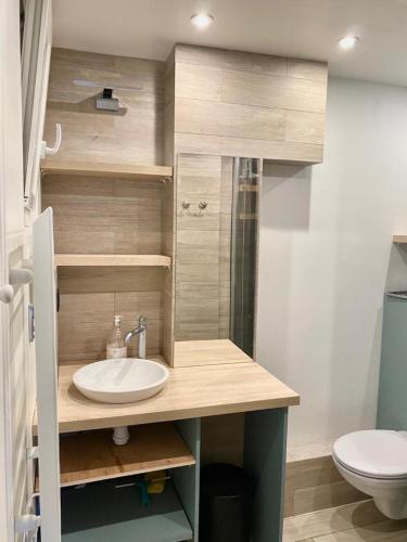 une salle de bain avec un lavabo et des toilettes dans l'établissement Port Royal Paris - Proche Pantheon, à Paris