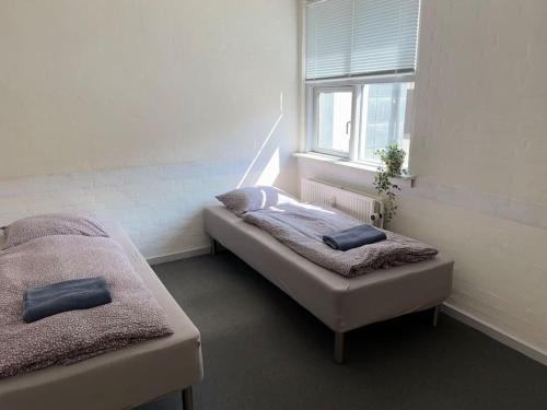 two beds in a room with a window at City 6-bedroom, private parking. in Aalborg