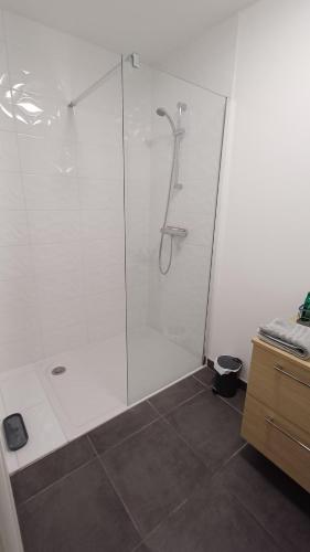 baño con ducha y puerta de cristal en Attic quai Paludate, en Burdeos