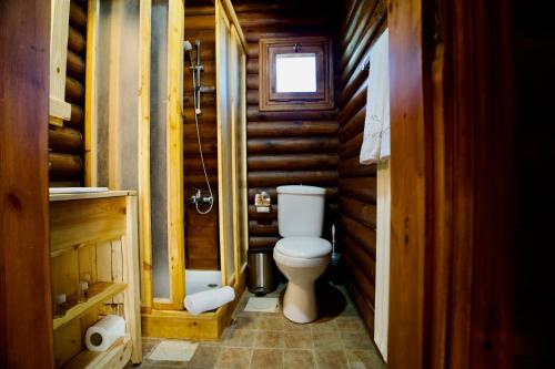 a bathroom with a toilet in a log cabin at Wood Hills Hotel & Resort in Mayrūbā