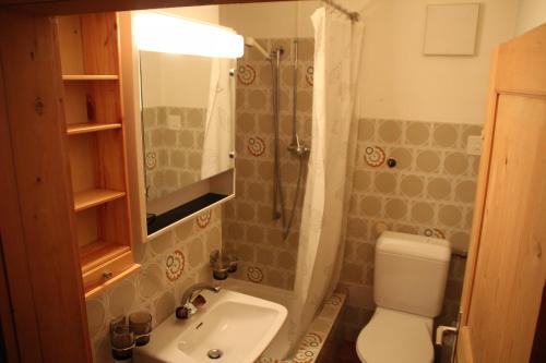 bagno con lavandino, doccia e servizi igienici di Chasa Campell ad Ardez