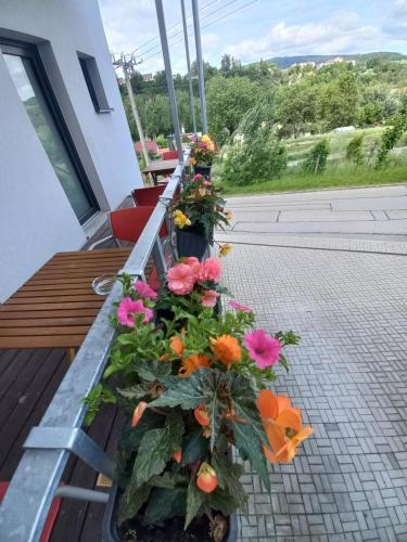a row of flowers in pots on a balcony at Pension SALMA in Český Krumlov