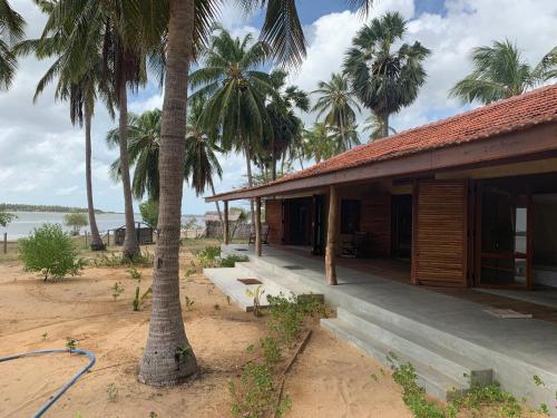 a house on the beach with palm trees at Kitelantis Hotel and Resort in Kalpitiya