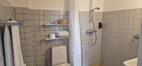 a bathroom with a shower and a toilet and a sink at Hotel Udsigten Marstal in Marstal