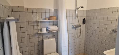 MarstalにあるHotel Udsigten Marstalのバスルーム(シャワー、トイレ、シンク付)