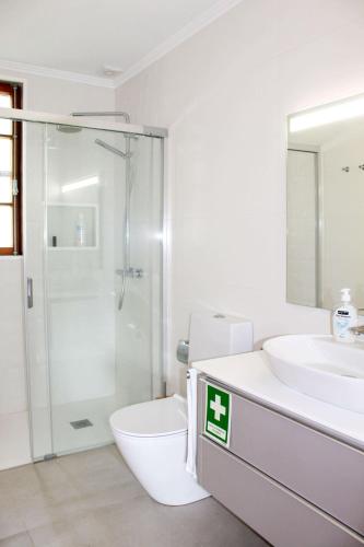 a bathroom with a toilet and a sink and a shower at Casa dos Magalhães in Vila do Porto