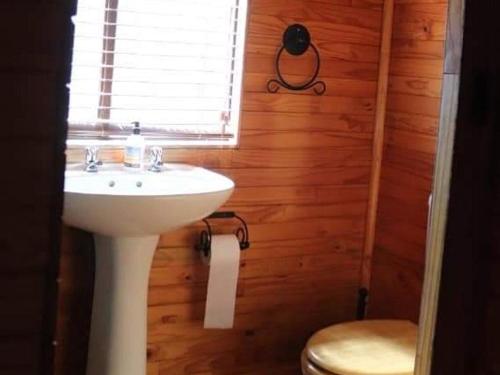 a bathroom with a sink and a toilet and a window at Geo Trail Lodge and Spa in Barberton