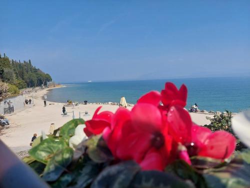a plant with red flowers in front of a beach at B&B Villa Giulia in Desenzano del Garda