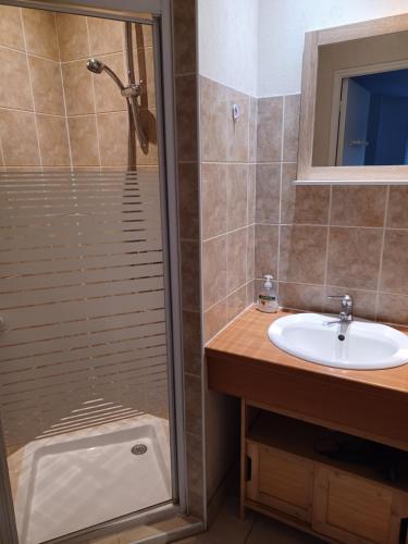 een badkamer met een douche en een wastafel bij GITE LE PARC A SARLAT Parking privé in Sarlat-la-Canéda