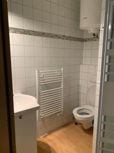 a bathroom with a toilet and a sink at A MARIE ET GABRIEL in L'Ile-Bouchard