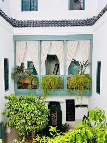 Riad 11 Zitoune