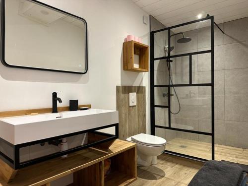 une salle de bain avec un lavabo, des toilettes et une douche dans l'établissement Appartement indépendant Guethary, à Saint-Jean-de-Luz