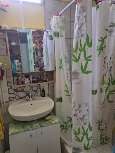 a bathroom with a sink and a shower curtain at COLOCATION CITE URBAINE in Pointe-à-Pitre